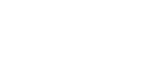 Ericeira Waves