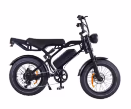 E-Bike Fat Tyre